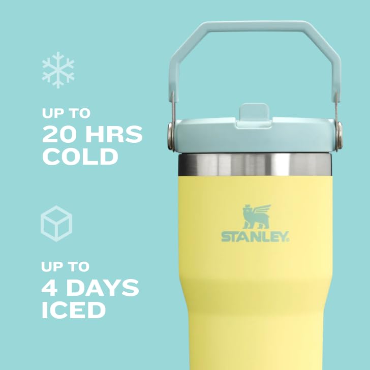 STANLEY IceFlow 2.0 Flip Straw Tumbler with Handle 30 oz | Twist On Lid and Flip Up Straw | Leak Resistant Water Bottle | Insulated Stainless Steel | BPA-Free | Meadow