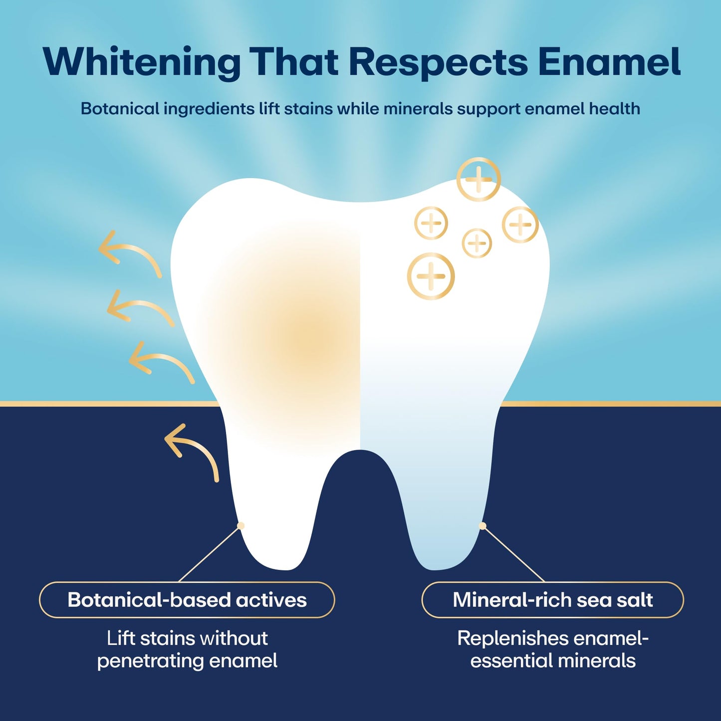 Lumineux Teeth Whitening Strips - 21 Treatments (3 Months) - Peroxide Free - Enamel Safe for Whiter Teeth - Whitening Without The Sensitivity - Dentist Formulated - Sensitivity