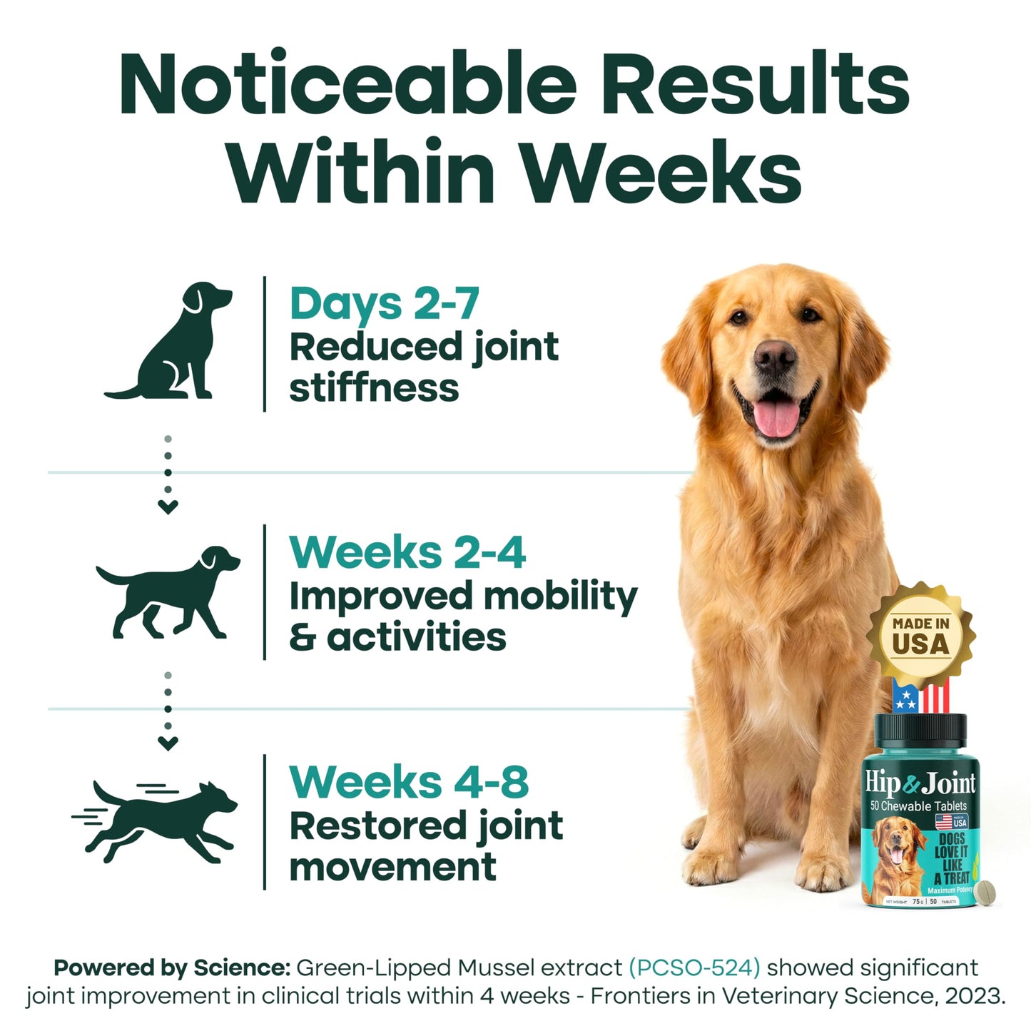 Natureflow Hip & Joint Supplement for Dogs, 300mg Green-Lipped Mussel for Dog Arthritis Pain Relief, Glucosamine, MSM & Chondroitin, Zero Sugar, Large Medium Small Breeds, 200 Chewable Tablets