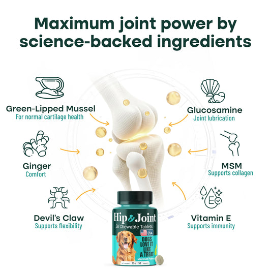 Natureflow Hip & Joint Supplement for Dogs, 300mg Green-Lipped Mussel for Dog Arthritis Pain Relief, Glucosamine, MSM & Chondroitin, Zero Sugar, Large Medium Small Breeds, 200 Chewable Tablets