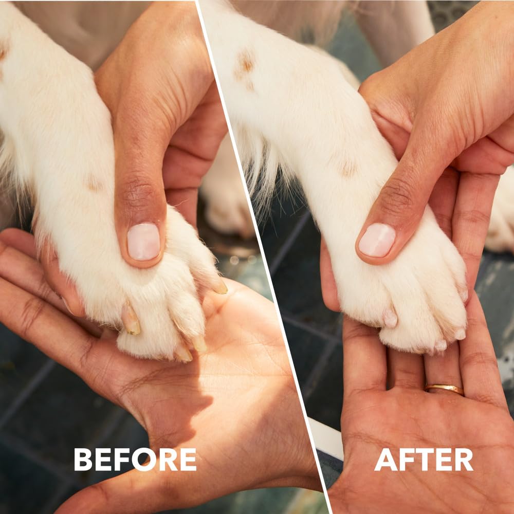 Dremel PawControl 7760-PET Dog Nail Grinder and Trimmer - Cordless & Rechargeable Pet Grooming Tool Kit - Safe for Dogs, Cats, and Small Animals (Amazon Exclusive)