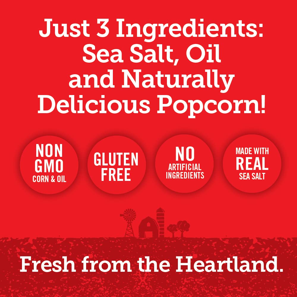 Popcorn Indiana Sea Salt Popcorn, 1.1 Oz (Pack of 6)