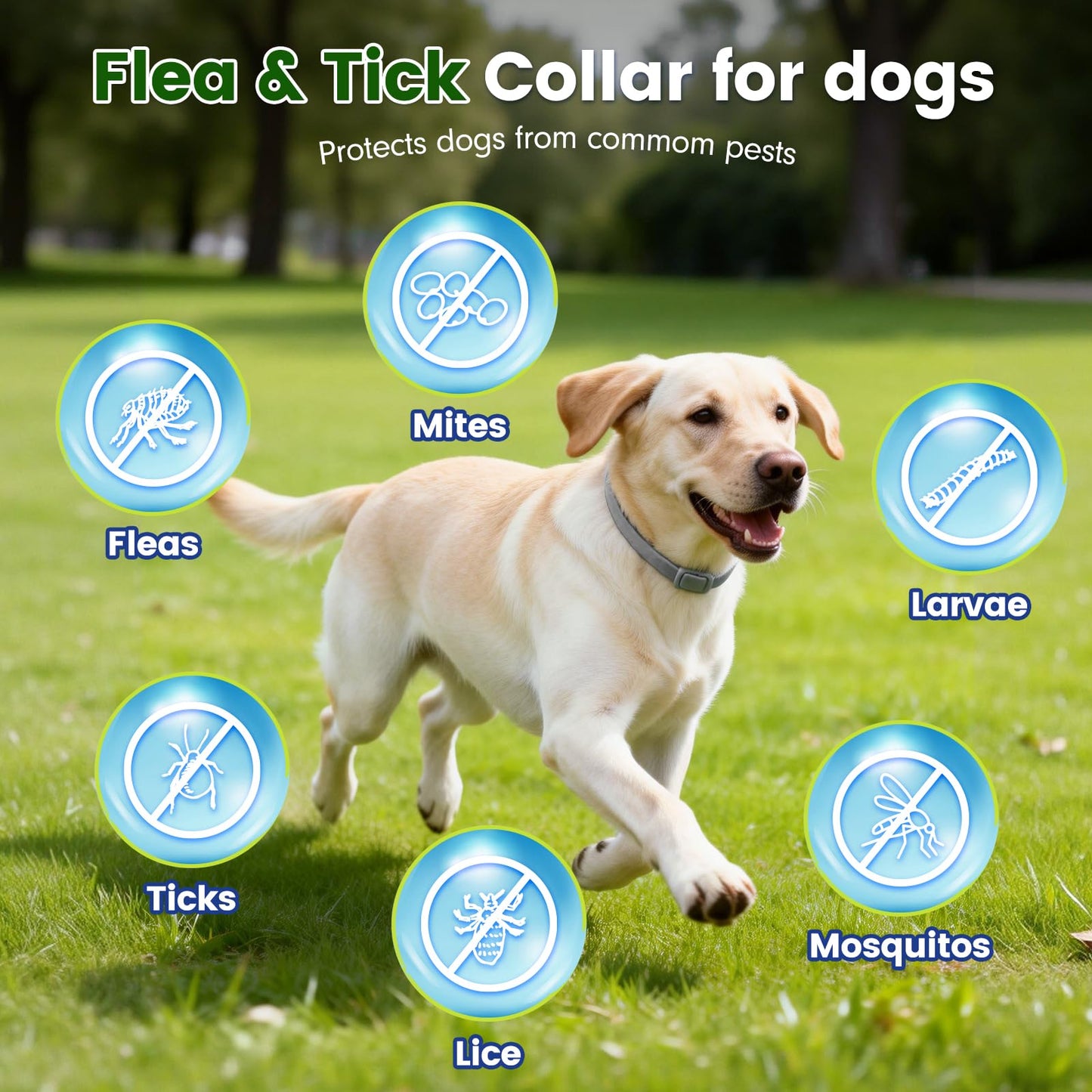 KOOSA Flea and Tick Collar for Dogs, 5 Packs Flea Collar for Dogs with Natural Essential Oils, Waterproof & Adjustable Flea and Tick Prevention Collar for Small Medium Large Dogs & Puppies, Grey