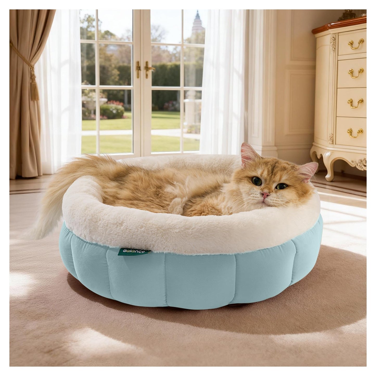 BALANCE Cat Beds for Indoor Cats, Washable Round Cat Bed, Cute Kitten Bed with Anti-Slip Bottom for Kitty and Puppy, 18 Inches, Dream Blue