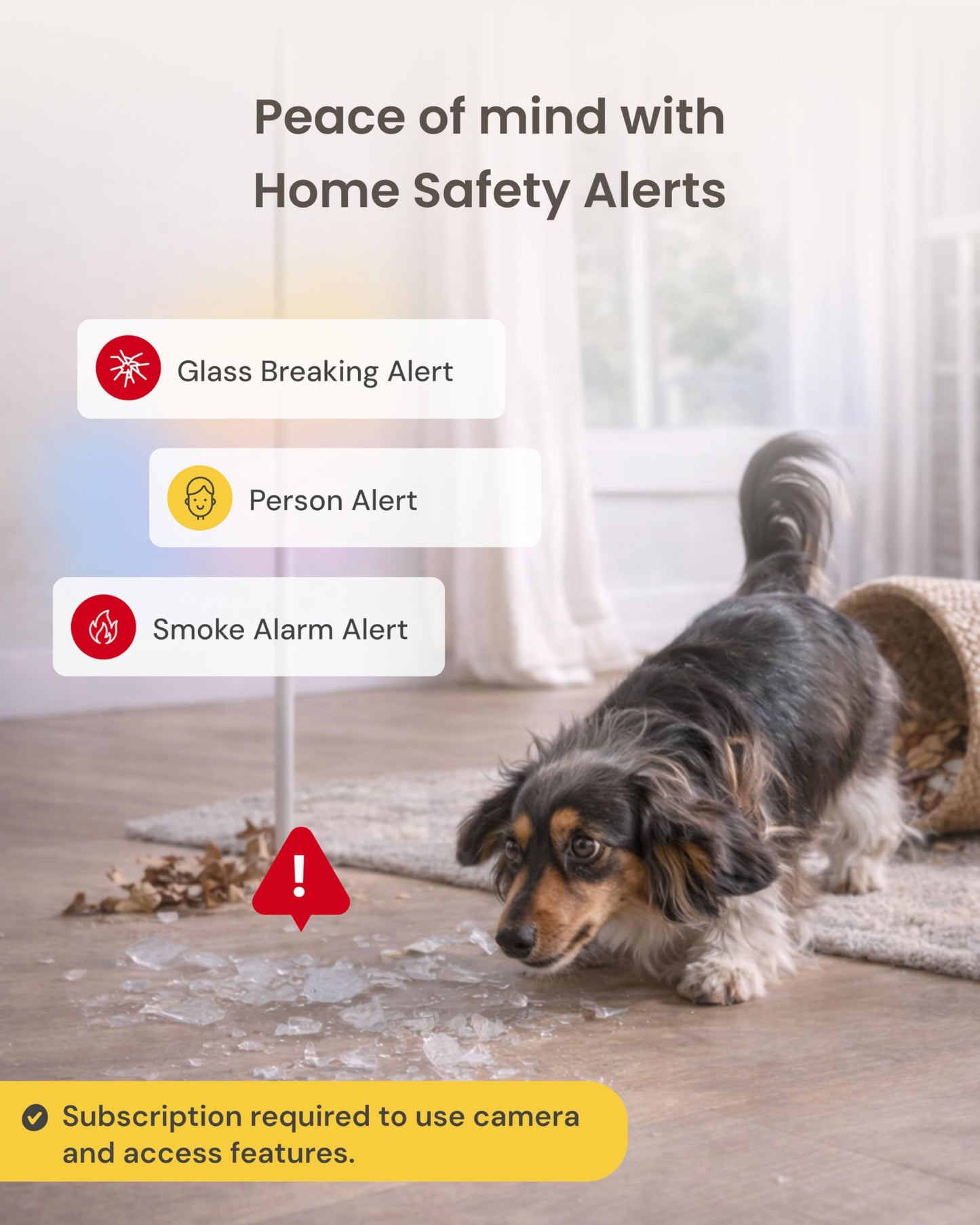 Furbo 360° Dog Camera [Subscription Required] Unlock w/Paid Plan: Home Security & Dog Safety Alerts, Rotating Pet Treat Toss, 2-Way Speaker (Low Risk, 3mo Min. Cancel Anytime)