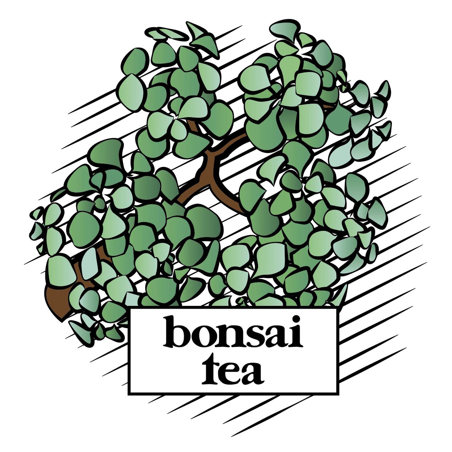 Bonsai Tea Co. Variety Pack, Compatible with K Cup Brewers Including 2.0, 40 Count