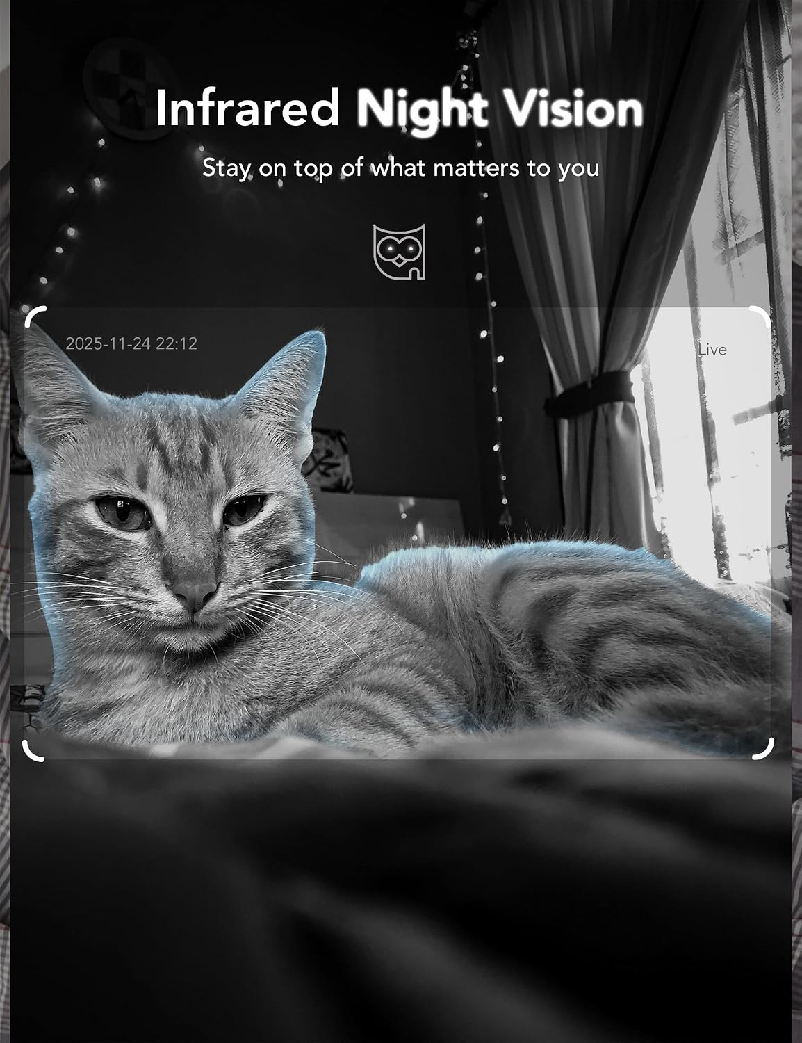 GNCC 2K Cameras for Home Security Indoor Cameras Wireless 2.4G/5G with App | Pet Cam, Dog Camera, Motion Detection, 2 Way Audio, Works with Alexa, Cloud Storage Optional, Fixed View, Plug-in, 4 Pack