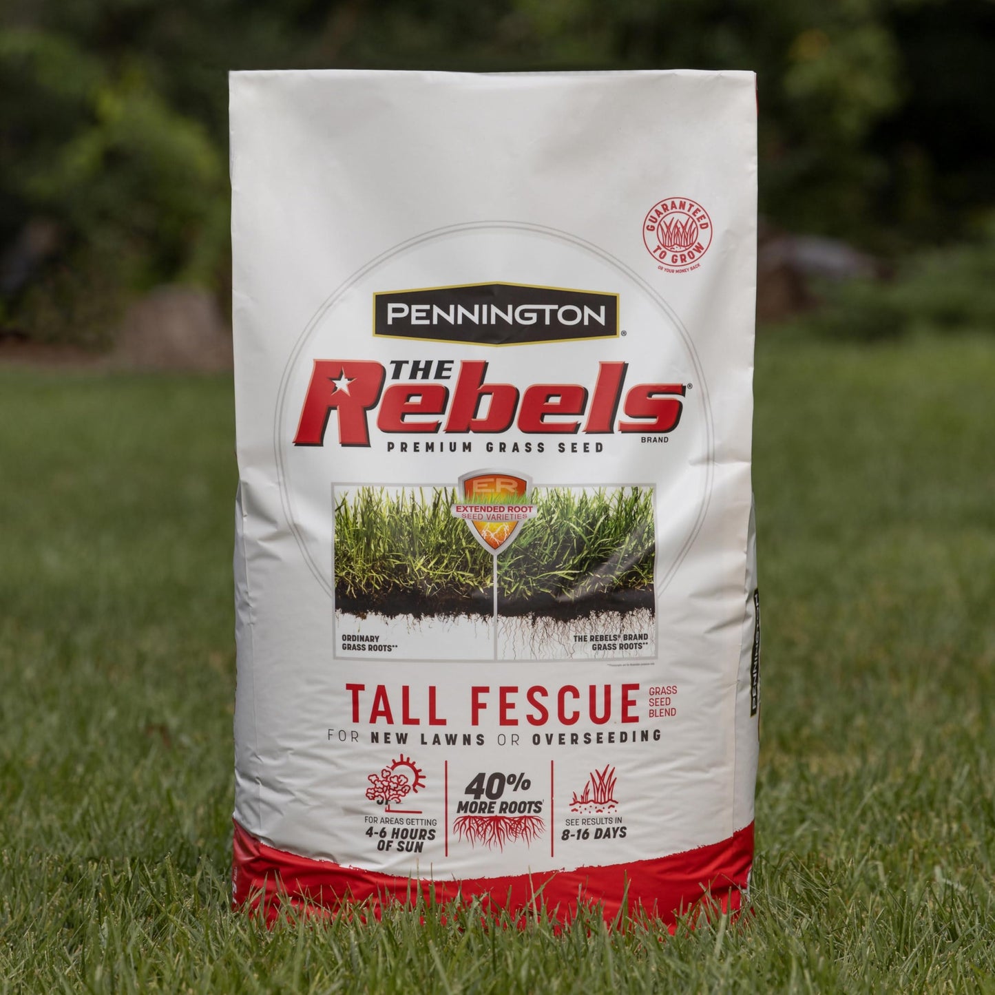 Pennington The Rebels Tall Fescue, Tall Fescue Grass Seeds for Lawn, 20 lb
