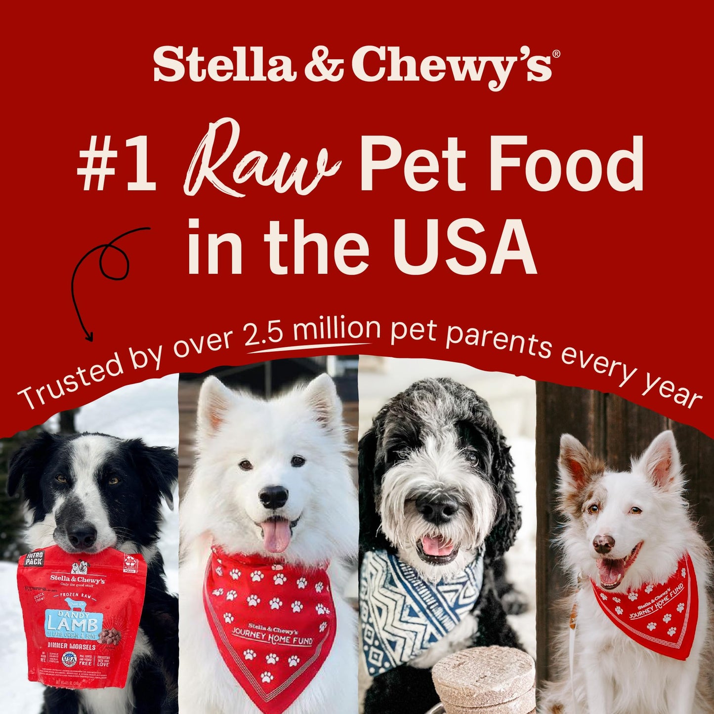 Stella & Chewy's Freeze-Dried Raw Dinner Patties - Chicken Recipe - High Protein Grain-Free Puppy & Dog Food - Perfect for Picky Eaters - 25 oz