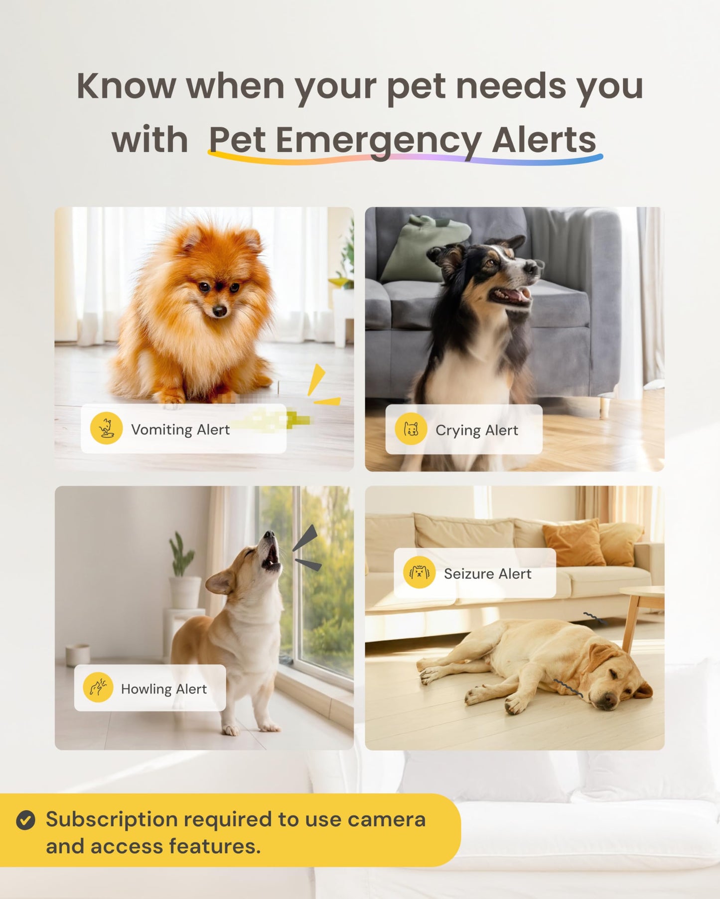 Furbo 360° Dog Camera [Subscription Required] Unlock w/Paid Plan: Home Security & Dog Safety Alerts, Rotating Pet Treat Toss, 2-Way Speaker (Low Risk, 3mo Min. Cancel Anytime)