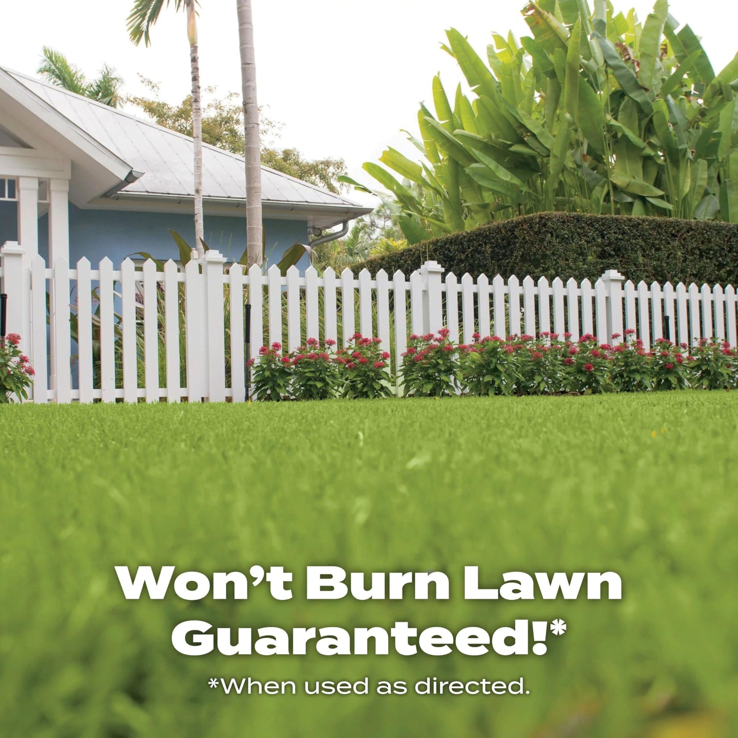 Scotts Lawn Fertilizer - Southern Turf Builder for Southern Grass - 15,000 Sq. Ft. - Granules