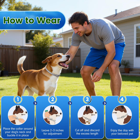 KOOSA Flea and Tick Collar for Dogs, 5 Packs Flea Collar for Dogs with Natural Essential Oils, Waterproof & Adjustable Flea and Tick Prevention Collar for Small Medium Large Dogs & Puppies, Grey