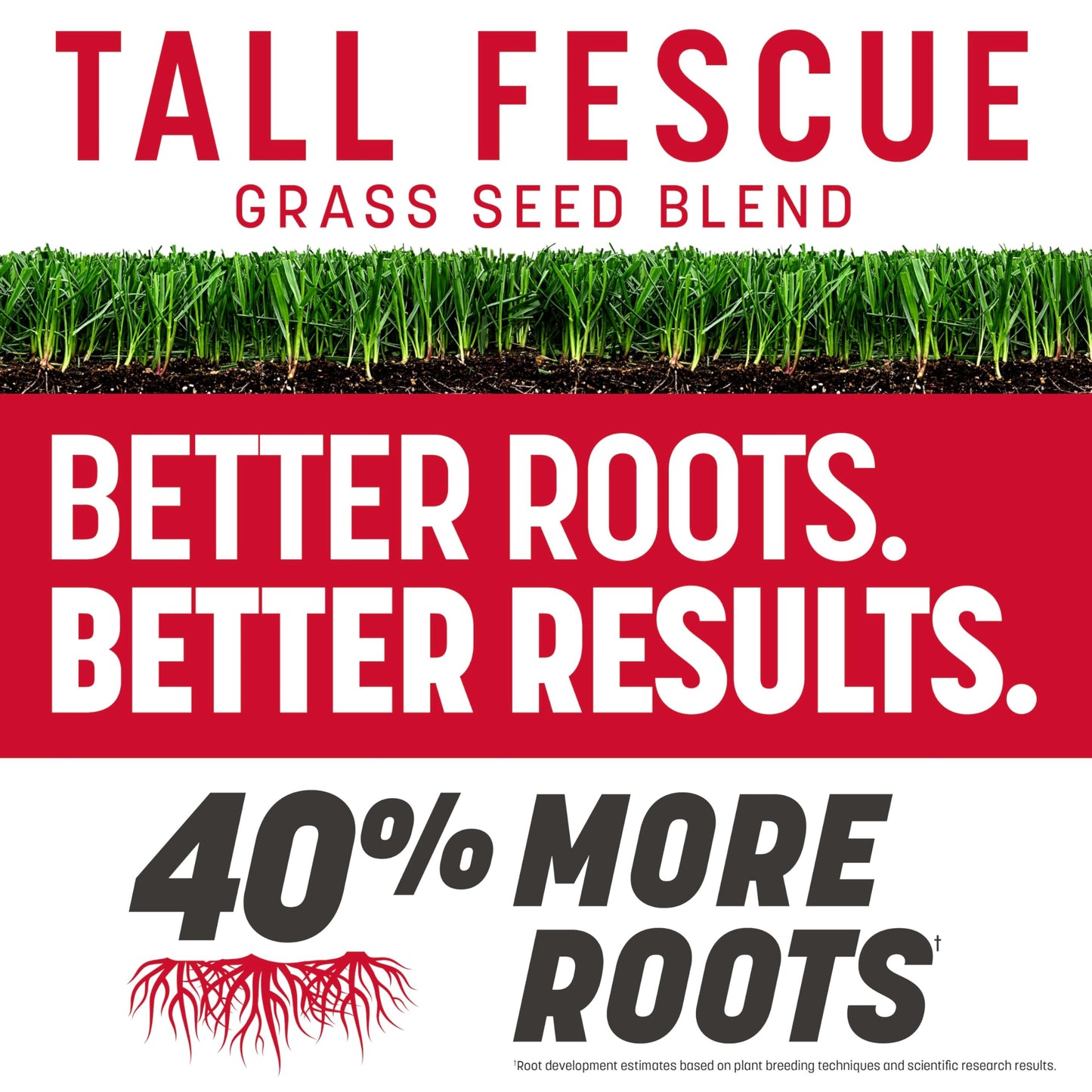 Pennington The Rebels Tall Fescue, Tall Fescue Grass Seeds for Lawn, 20 lb