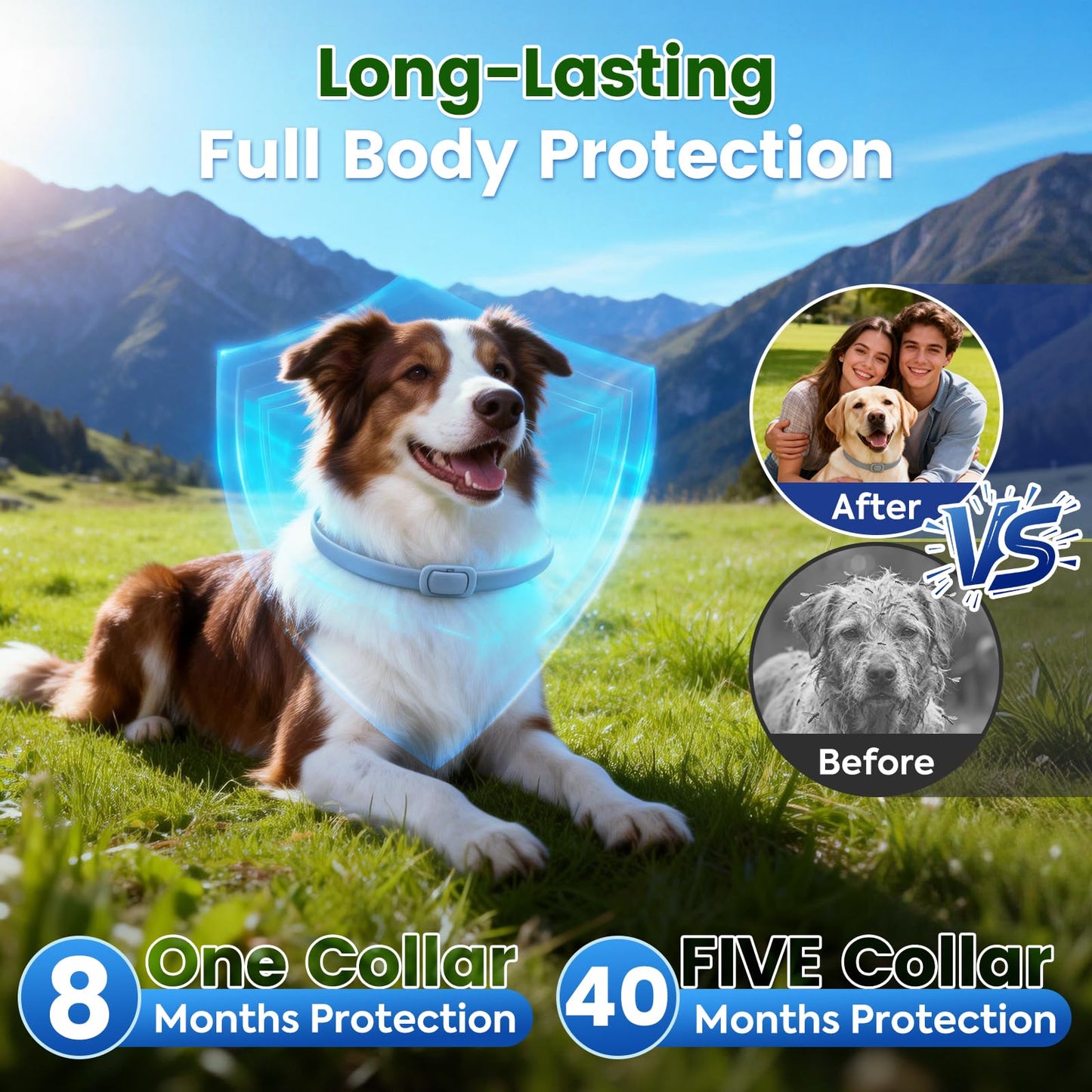KOOSA Flea and Tick Collar for Dogs, 5 Packs Flea Collar for Dogs with Natural Essential Oils, Waterproof & Adjustable Flea and Tick Prevention Collar for Small Medium Large Dogs & Puppies, Grey