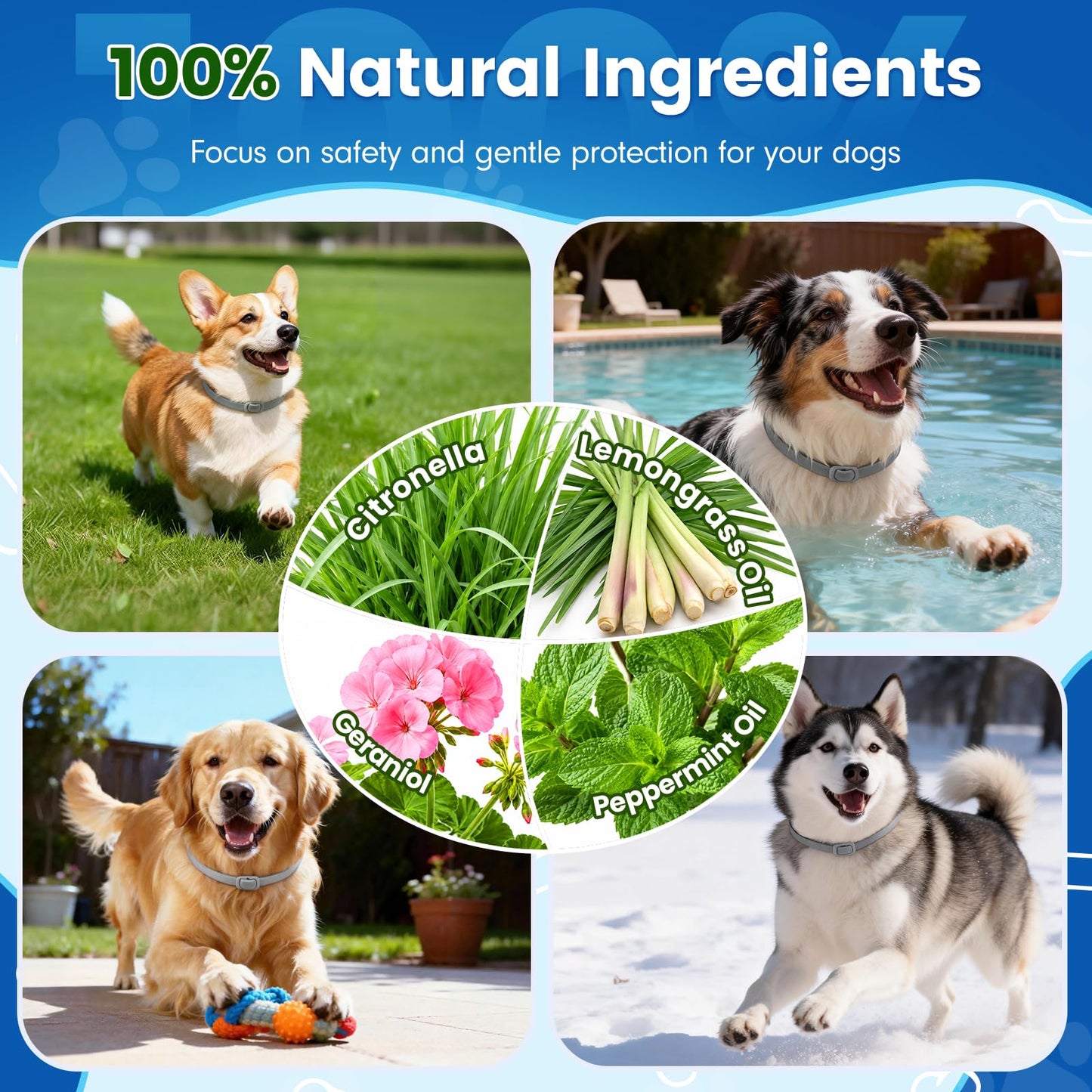 KOOSA Flea and Tick Collar for Dogs, 5 Packs Flea Collar for Dogs with Natural Essential Oils, Waterproof & Adjustable Flea and Tick Prevention Collar for Small Medium Large Dogs & Puppies, Grey