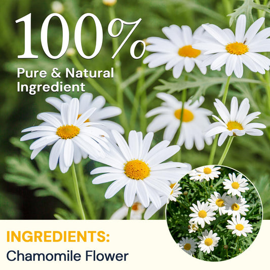 Chamomile Tea Bags, Chamomile Flower Herbal Tea - Sugar-Free, Caffeine-Free, 50 Teabags