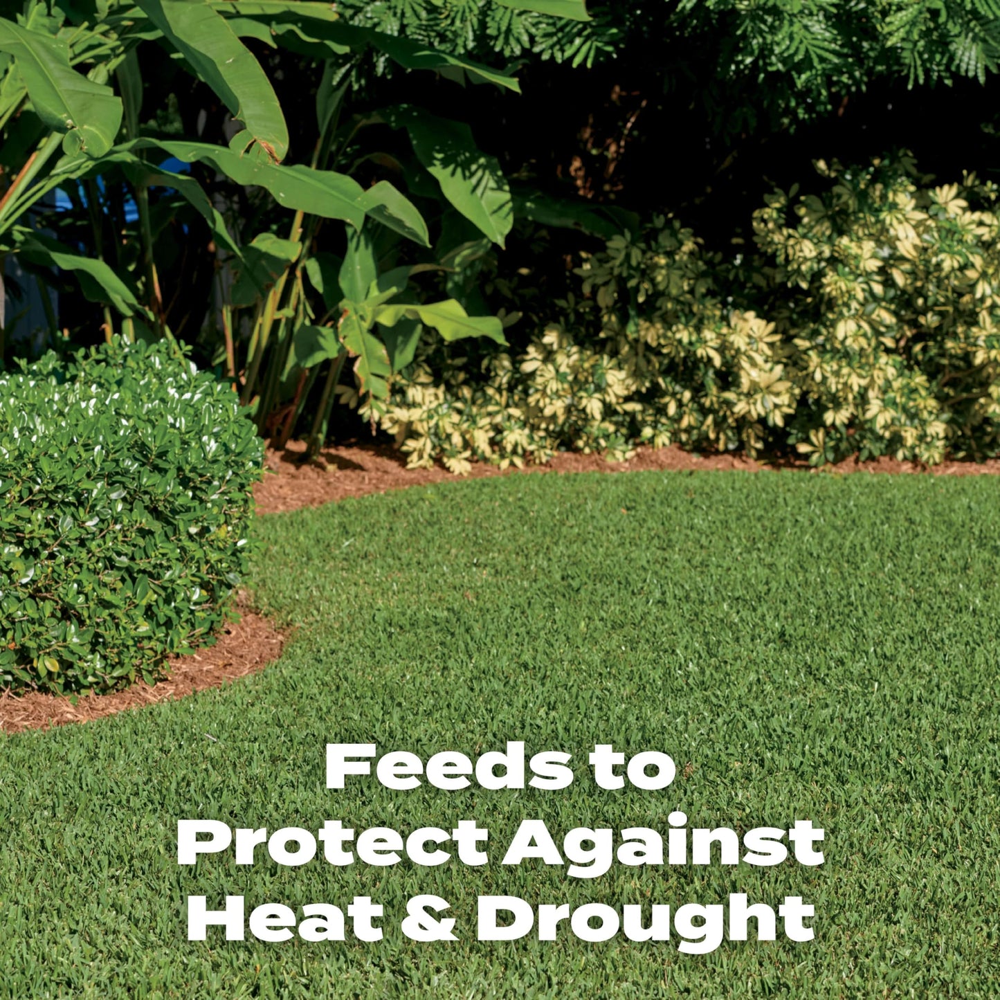 Scotts Lawn Fertilizer - Southern Turf Builder for Southern Grass - 15,000 Sq. Ft. - Granules