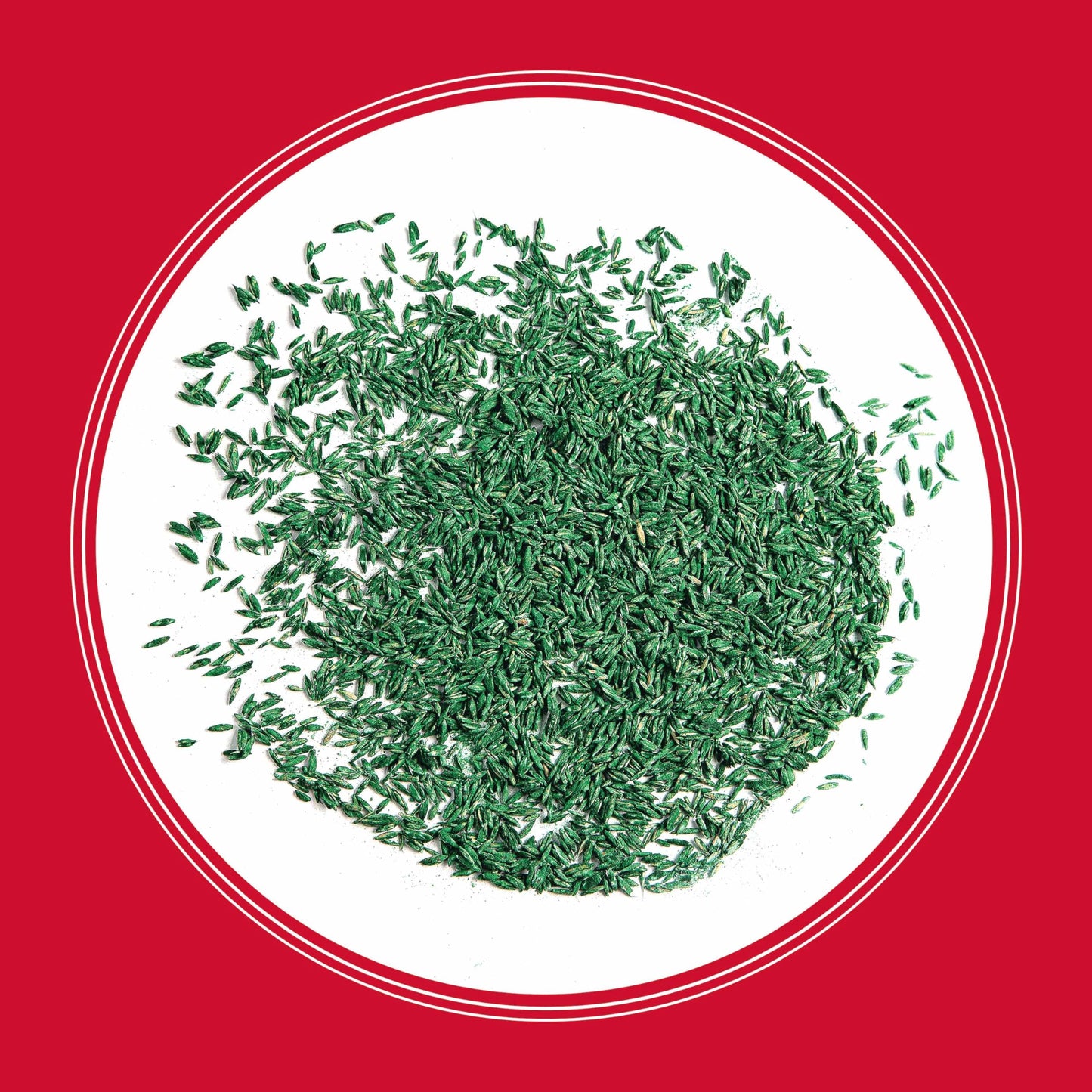 Pennington The Rebels Tall Fescue, Tall Fescue Grass Seeds for Lawn, 20 lb