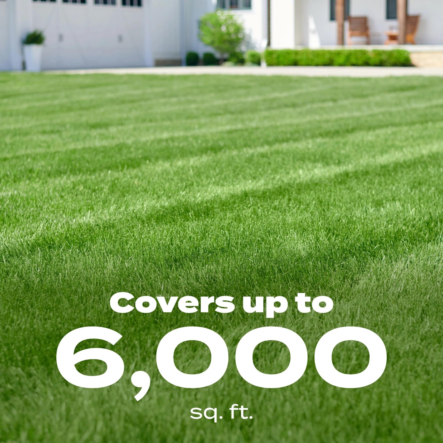 Scotts Liquid Turf Builder with Plus 2 Weed Control Ready-to-Spray - Liquid Weed Killer and Grass Fertilizer, Hose-End Applicator, 32 fl. oz.